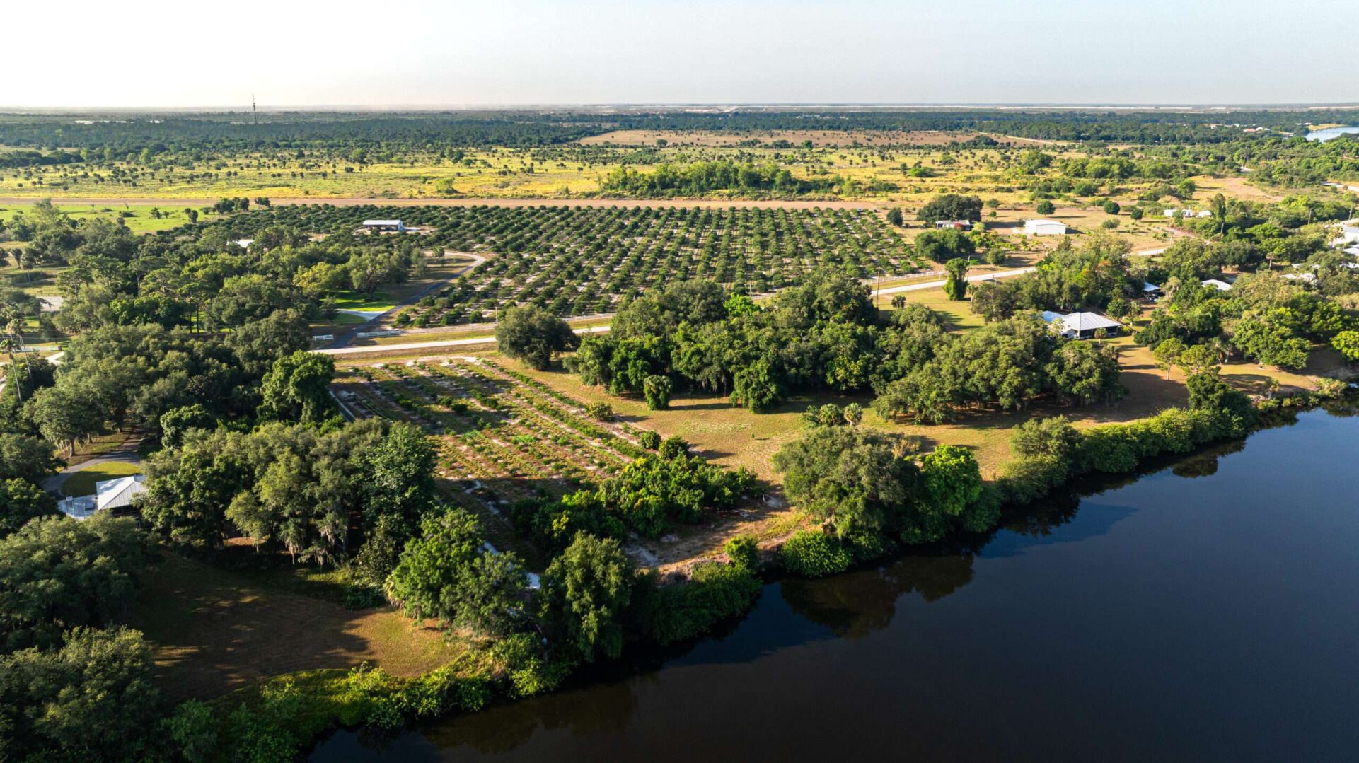 Alico Inc. CEO explains shift away from citrus industry